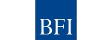 BFI-Consulting
